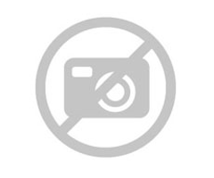 Vestige products Rupnagar Vestige Distributor Rupnagar