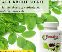 Renatus Nova products Distributor Amritsar