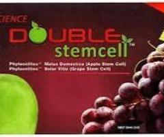 phyto science double stem cell distributor Amritsar