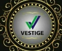 Vestige products India punjab vestige products price list how to join vestige in india