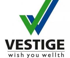 Vestige products ambala vestige distributors ambala